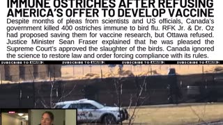CANADA SLAUGHTERS NATURALLY IMMUNE OSTRICHES AFTER REFUSING AMERICA'S OFFER TO DEVELOP VACCINE