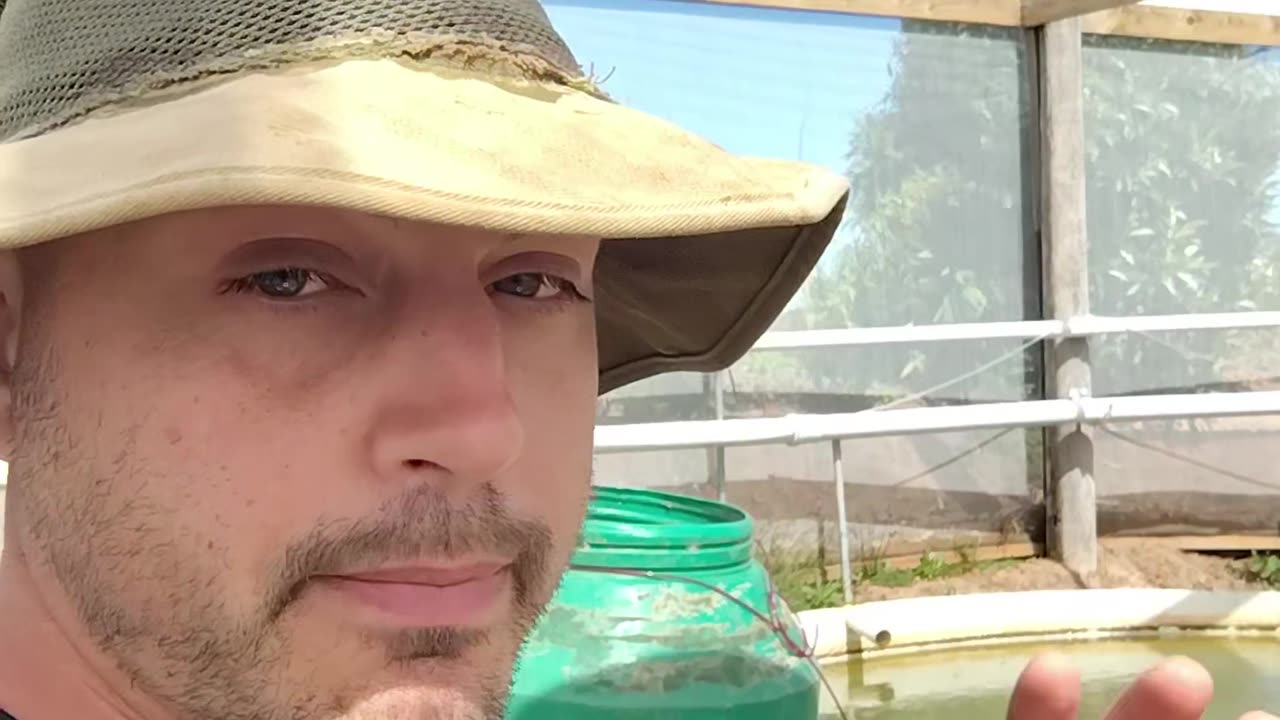 koi fish stand up comedy