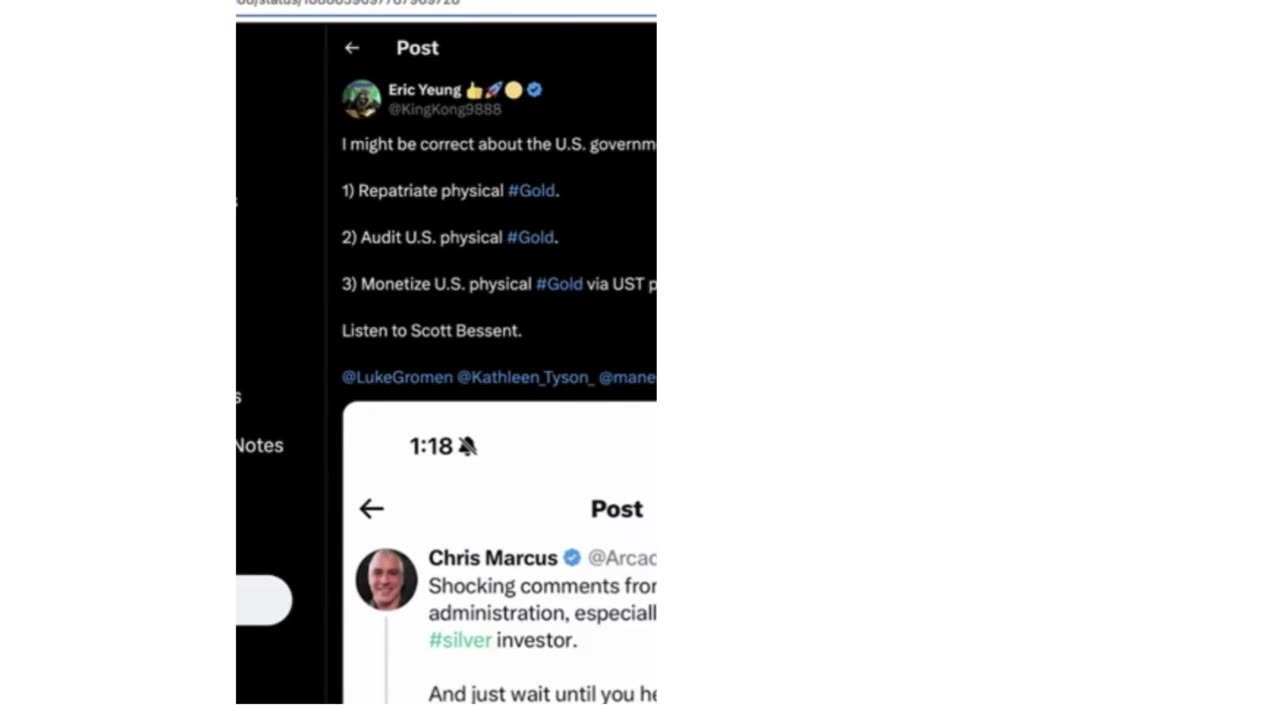 Jim Willie - TRUMP - BITCOIN - DOLLAR