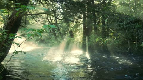 Drifting Turban || mp3-relaxing,chill&waasmusic