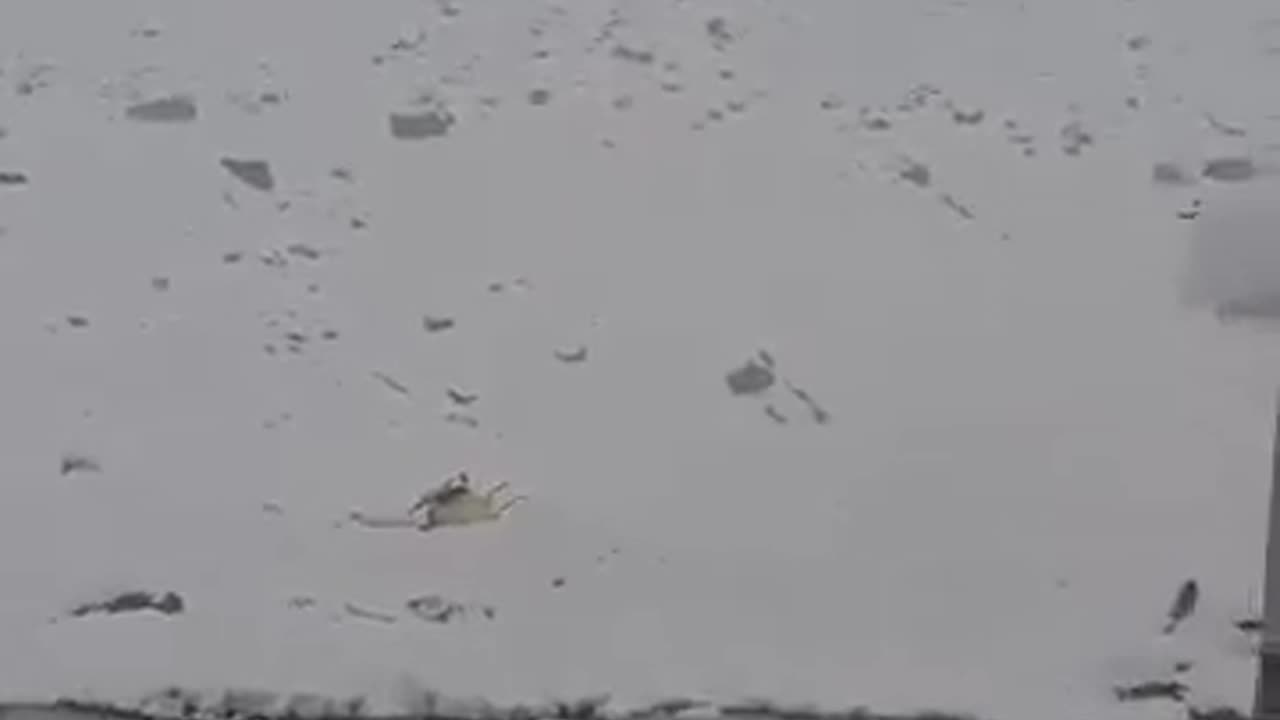 Shkoi për të shpëtuar disa alpinistë të bllokuar, rrëzohet helikopteri privat në rajonin e Everestit