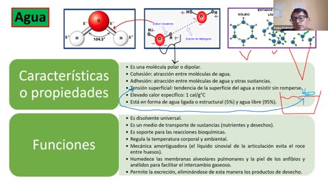 ADC SEMIANUAL 2023 | Semana 02 | Biología S1