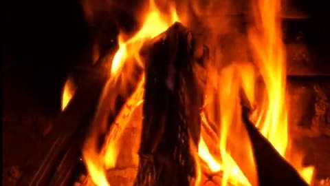 Daily Horoscope | Aries 🌟