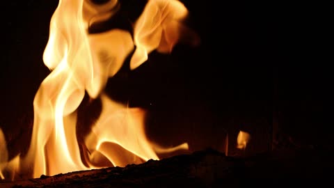 "The secret to happiness is low expectations and high standards.