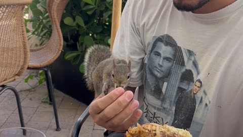 Sharing Fries With Bold Squirrel