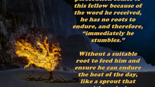 Matthew 13:21 - Daily Bible Verse Commentary