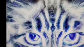 I don't care what you call it.