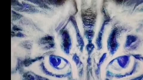 I don't care what you call it.