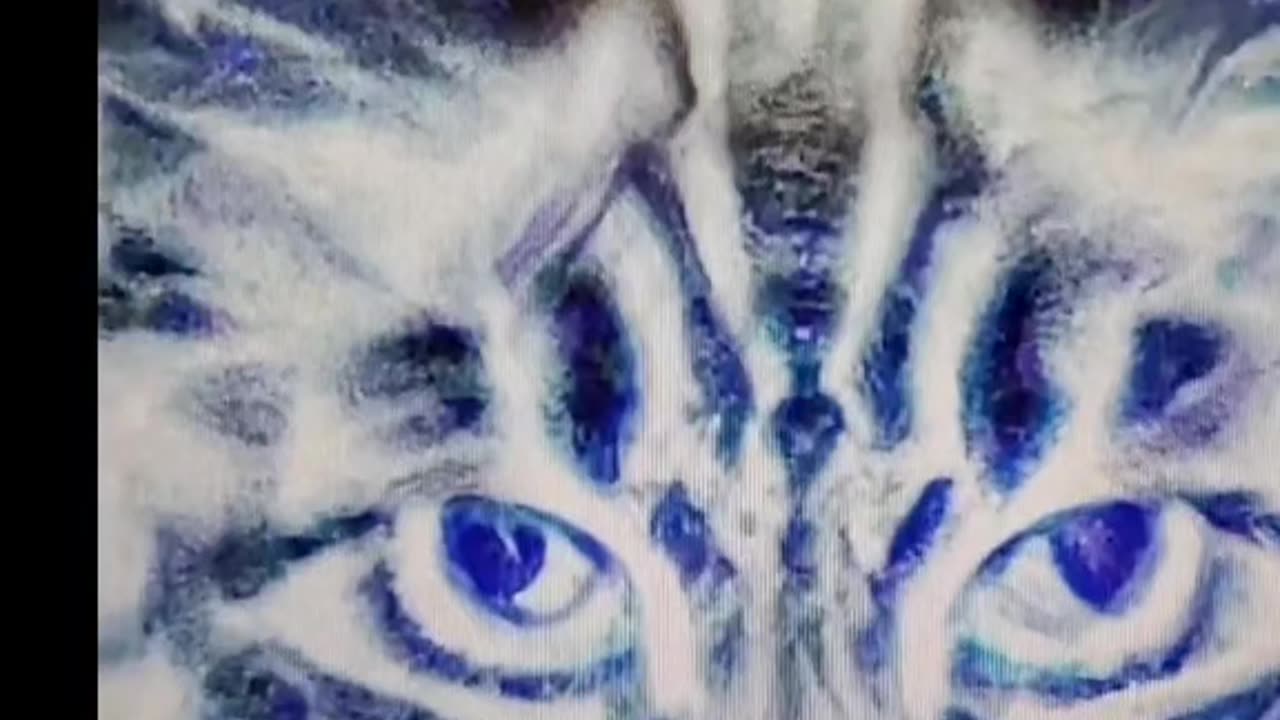 I don't care what you call it.