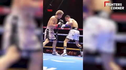 "NOBODY WILL BEAT HIM!" Joe Rogan LIVE Reaction To Naoya Inoue VS David Picasso Fight