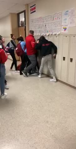 School fight