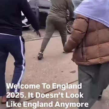 Doctors or Engineers?