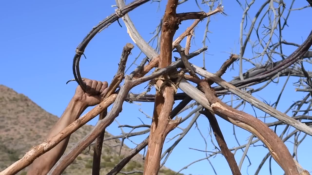 Surviving the First Three Primitive Years in a Hand-Built Hut