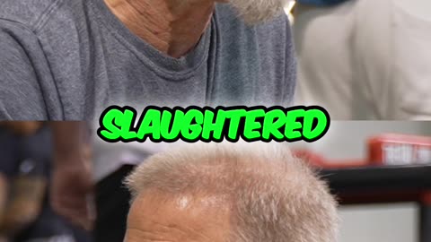 Animal Rescue - Saving Slaughter-Bound Animals in California