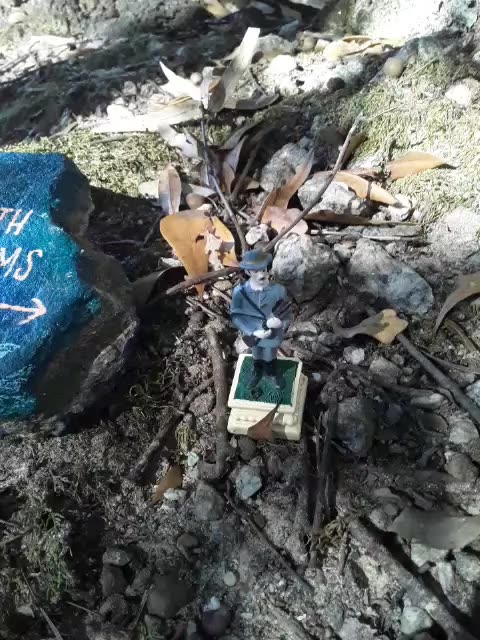 Support a Confederate