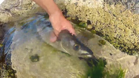 Mark Clark Portrush walking around Roe Valley Country Park and fishing in Portrush 2016..