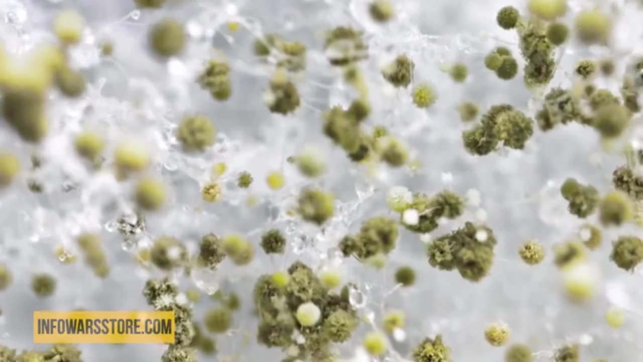 IW Archives 2020 Sep 16