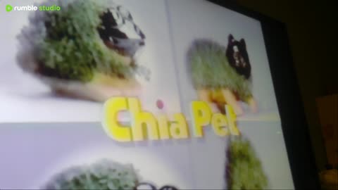 adamsfoxsportsnetworks