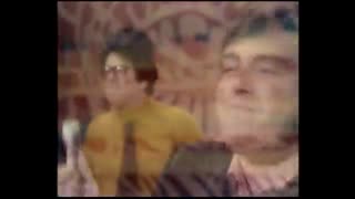 The Turtles - Happy Together