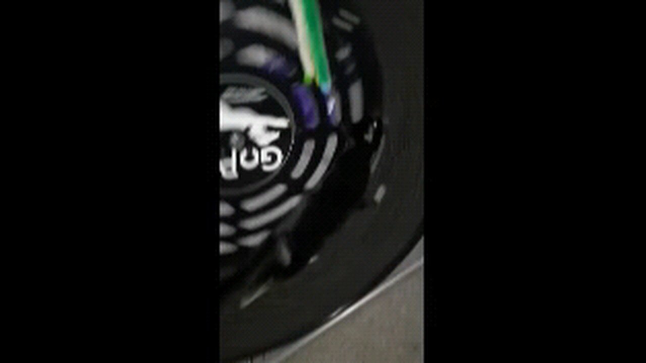.Cookie Cutter The Cat In Exercise Wheel, Dbn, MI, 1/13/25