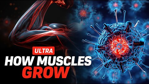 Muscle Hypertrophy Explained (What Makes Muscle Grow