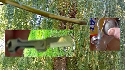 #medecine, home remedies, #willow , bark , flu , cure