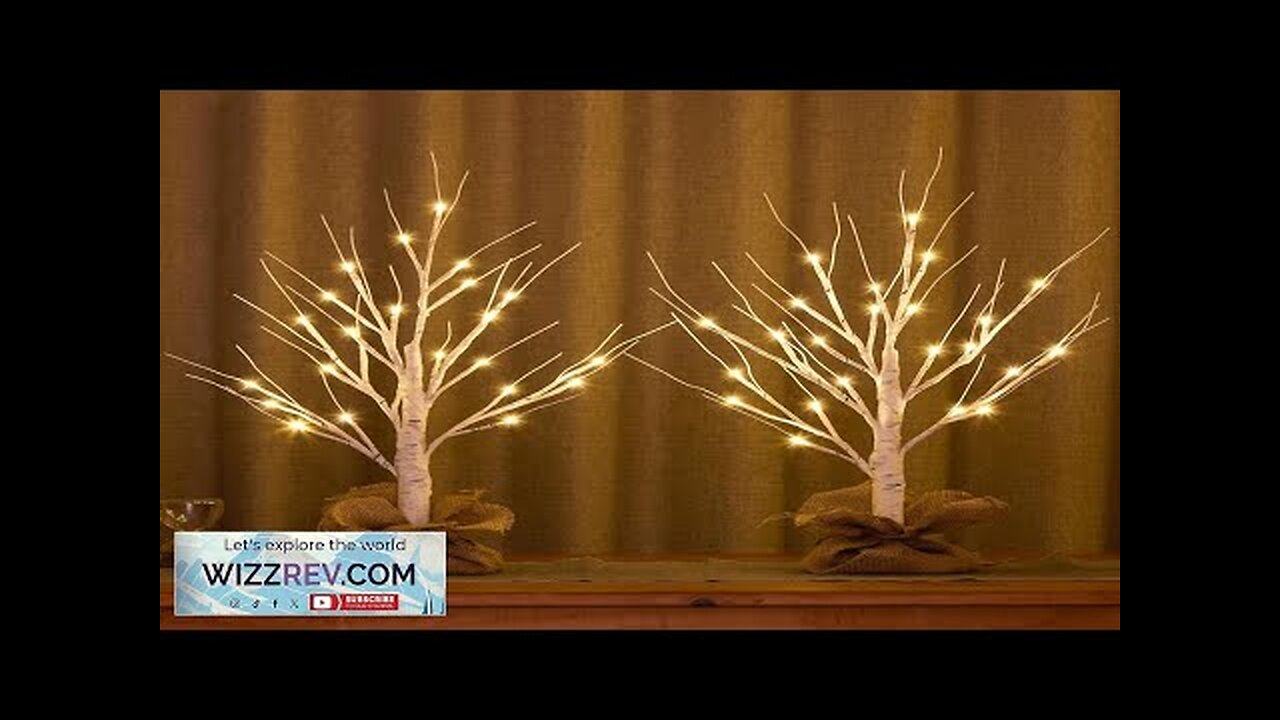 Lighted Birch Tree 2pcs 24in Christmas Tabletop Tree USB Rechargeable Base Review