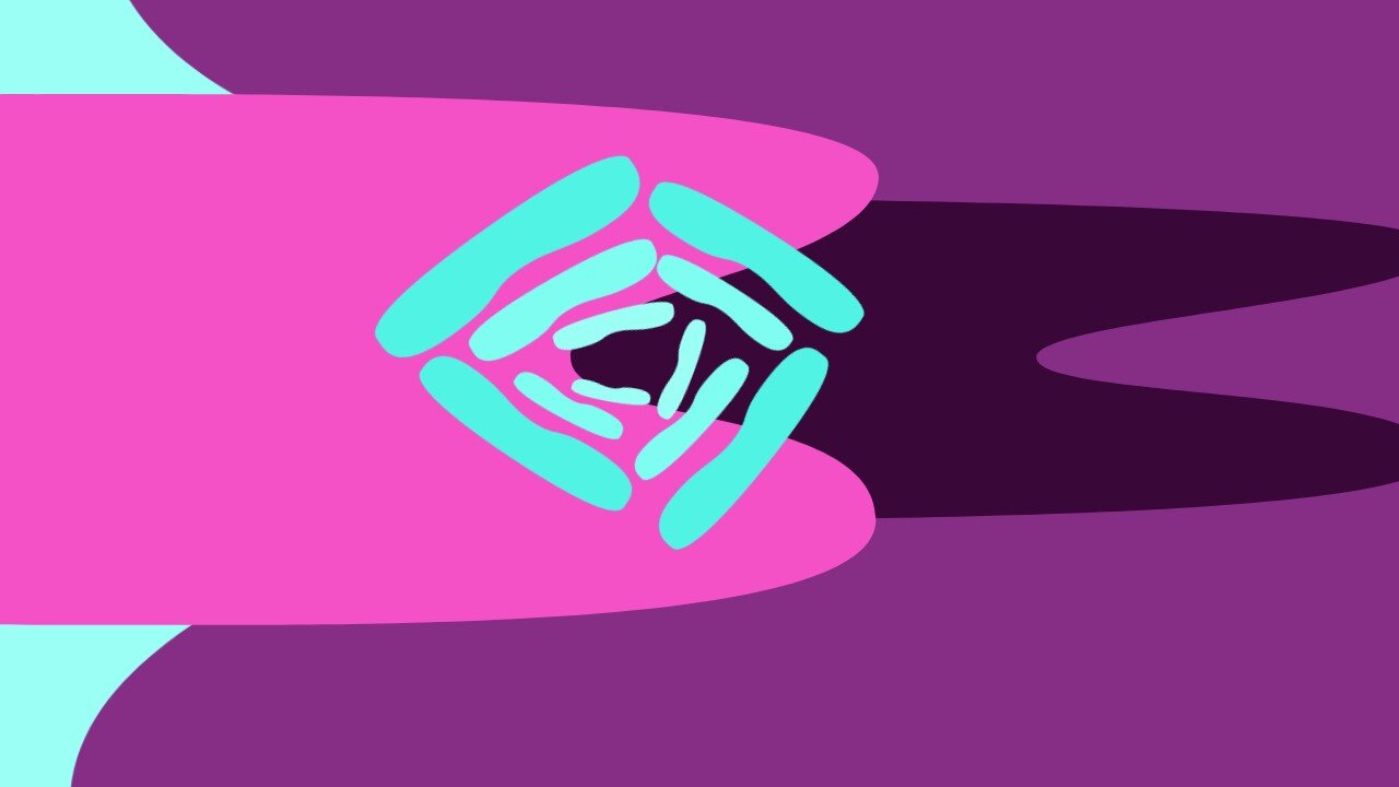 Midnight Oblivion Pt 407: Plussed