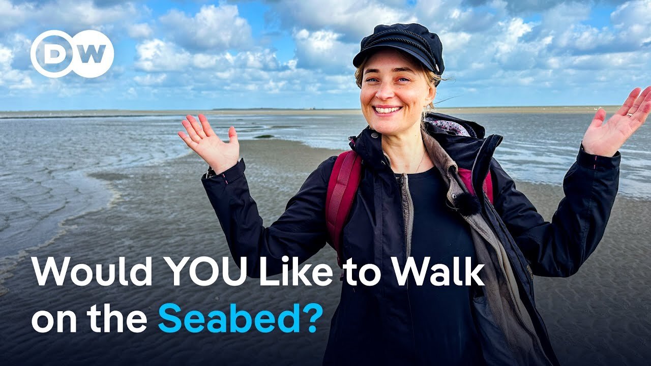 Discover the Wadden Sea National Park on the German North Sea coast!