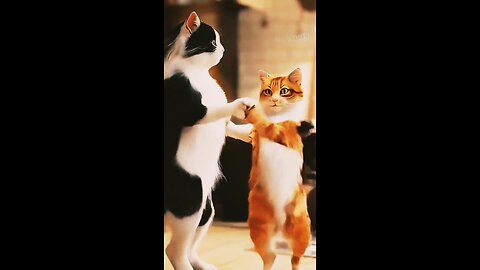 cat dancing #petvideos #prediction #funnyanimals #california #foryou #kidsvideo #childrenvideos