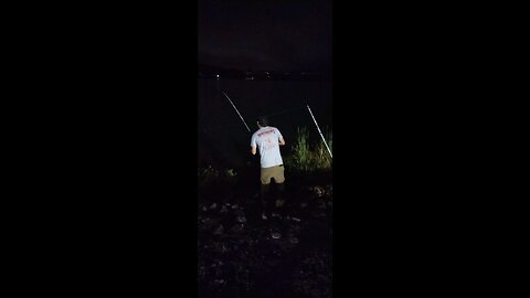 Clinch River Blue Catfish