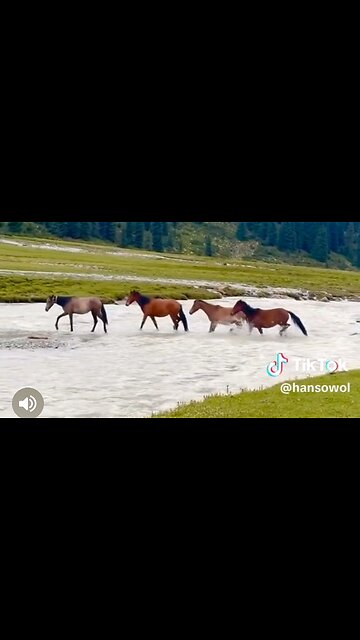 THE REQUIREMENTS OF A GODLY INFLUENCE - DAILY DEVOTIONAL ❤️