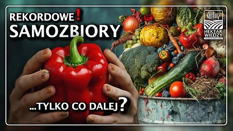 REKORDOWE SAMOZBIORY! Tylko co dalej?