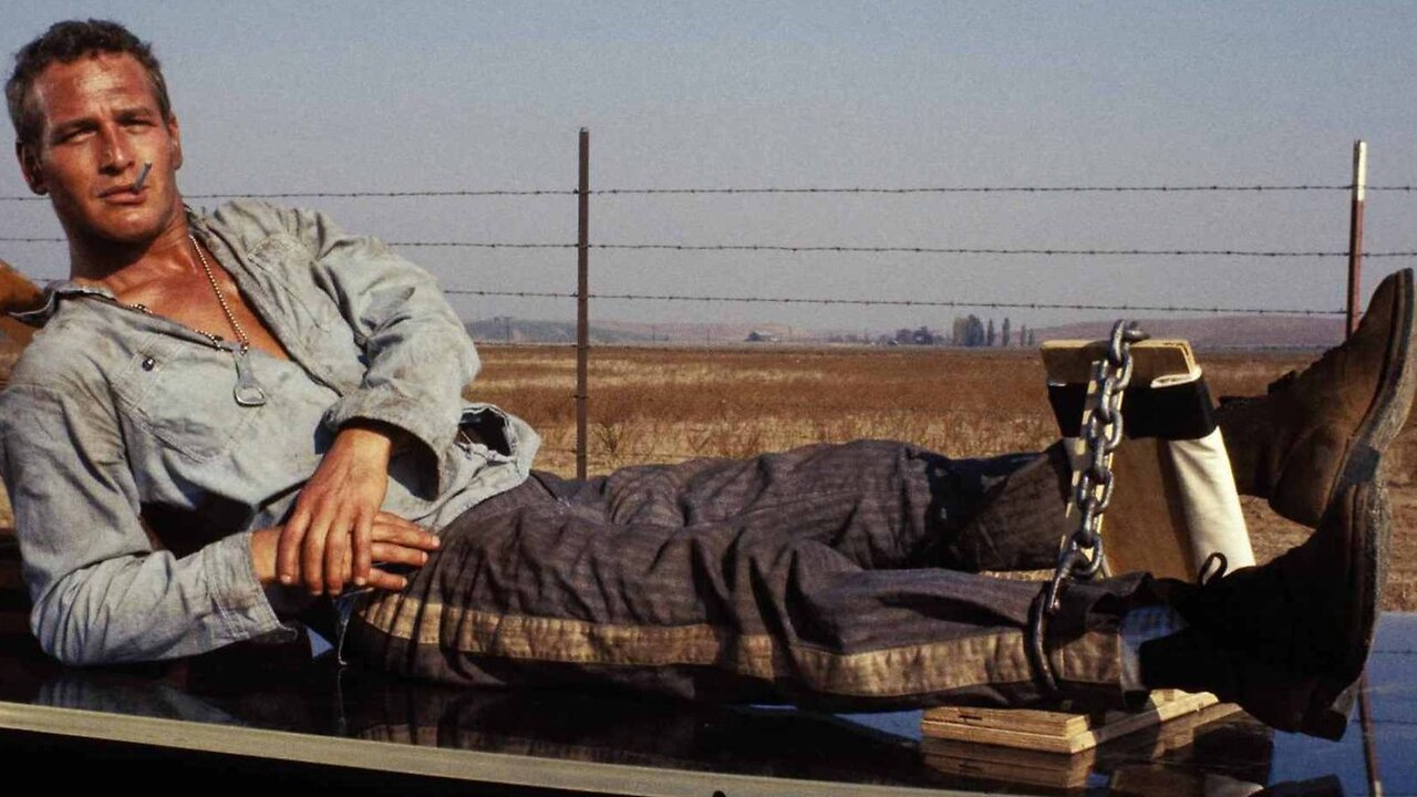 Cool Hand Luke- Paul Newman, George Kennedy, Strother Martin-1967 IMDB 8/10