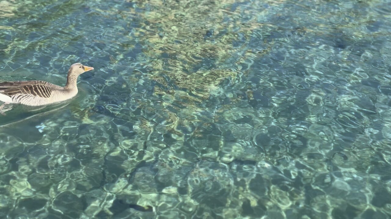 Font de la Ciutadella