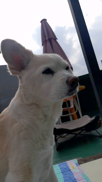 20251025. My Lord. Jesus Christ.