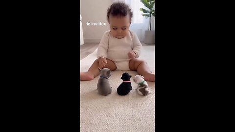Cutest meeting of the year 😭❤️ Baby trying to understand why these tiny puppies are wobbling