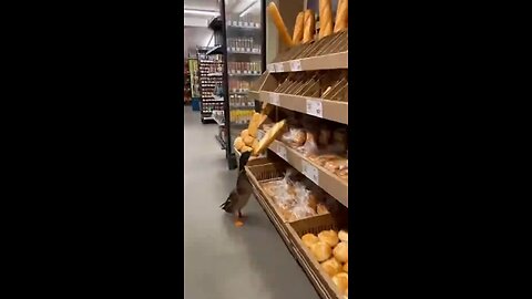 funny enough