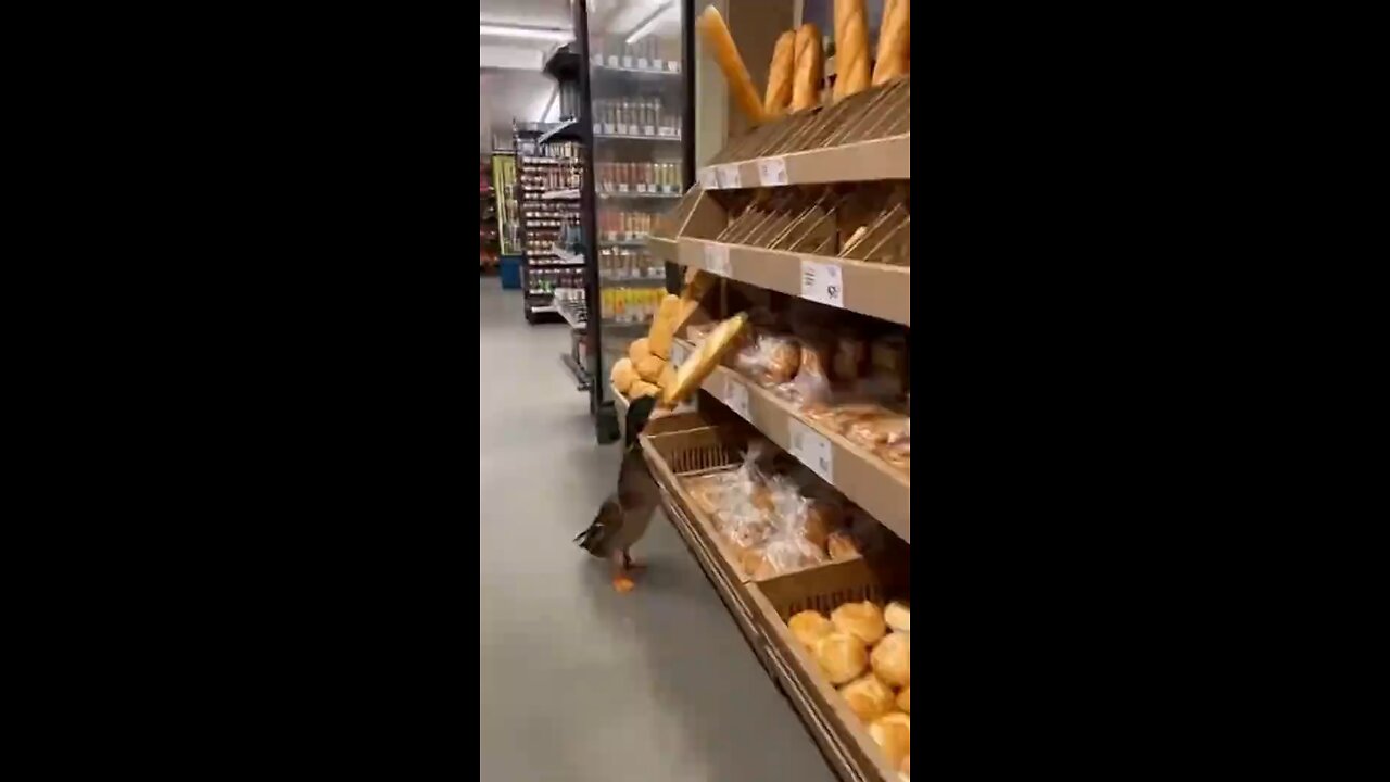 funny enough
