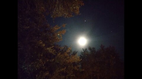 Joh. Sebastian Bach - Fuenf Vorspiele