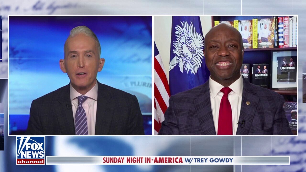 Democrats are willing to 'sell out current constituents' for power | Sen. Tim Scott