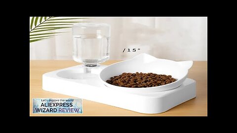 Pet Feeder 2-in-1 Pet Feeding Bowl Dog Cat Automatic Water Dispenser Review