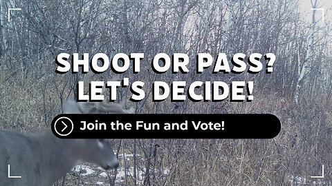 Would You Shoot Or Pass On This Buck?