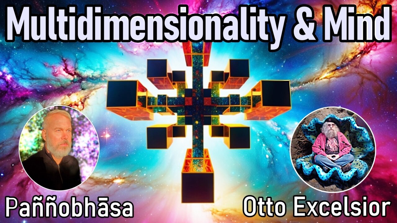 Multidimensionality and the Mind (with Otto Excelsior)