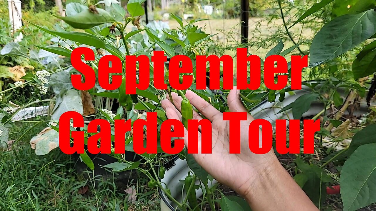 Garden Tour: September