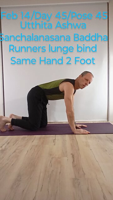 Runnetslungebind / Utthita Ashwa Sanchalanasana