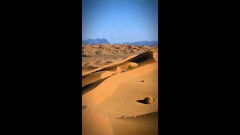 Desert video