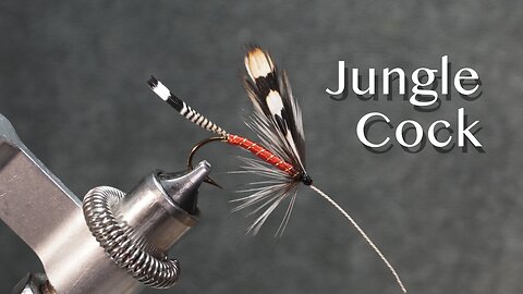 Jungle Cock: a trout fly from Favorite Flies and Their Histories (1892) by Mary Orvis Marbury