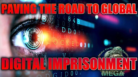 PAVING THE ROAD TO GLOBAL DIGITAL IMPRISONMENT