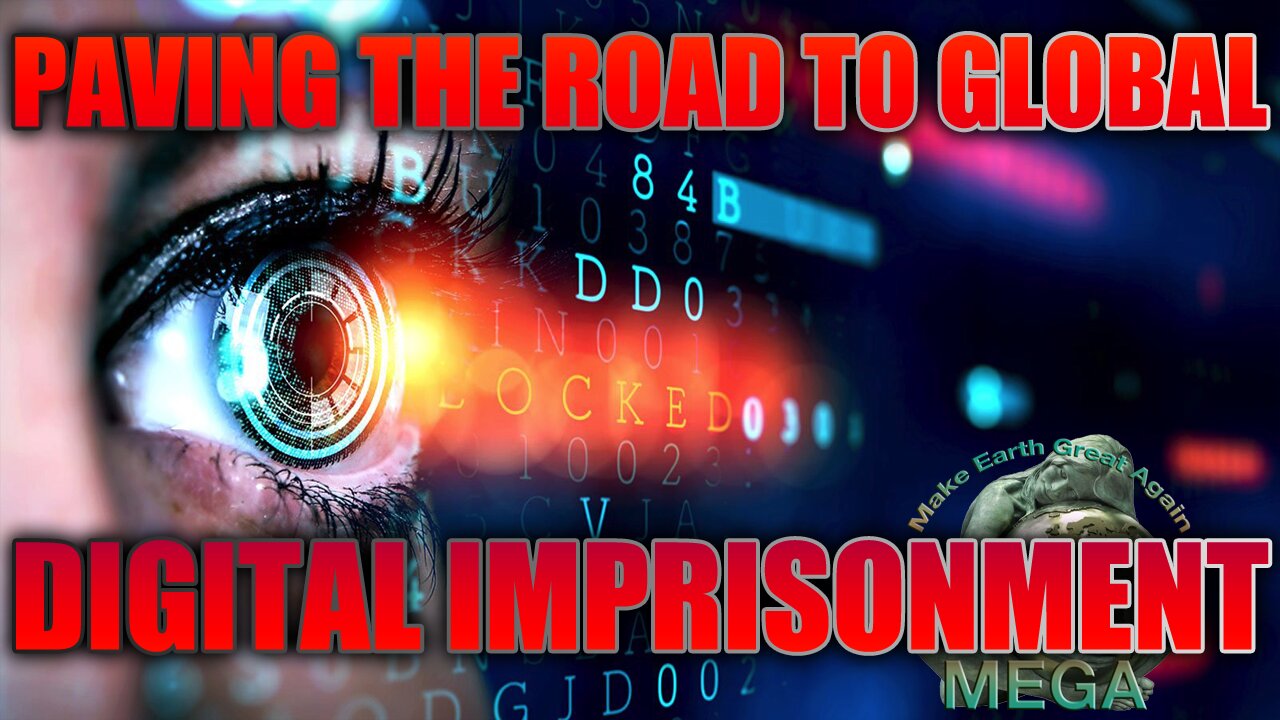 PAVING THE ROAD TO GLOBAL DIGITAL IMPRISONMENT